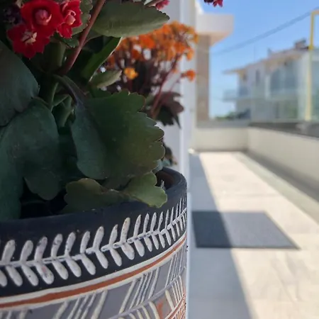 Διαμέρισμα Oliva